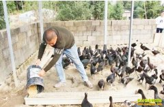 ���������ܸ������Ѽ�����¸�����������Ѽ������