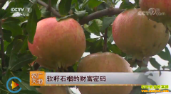 [ũ�����]�����°������ض���ֲ����ʯ��ĲƸ�����