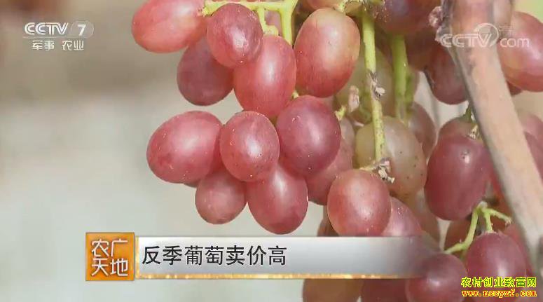 [ũ�����]ɽ���ٹ������ֲ�����������۸�