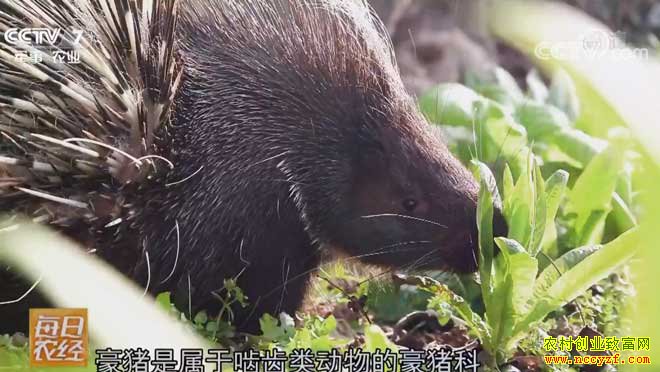 [ÿ��ũ��]�������̵ĺ��������� 20190220