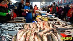 2019���ں�ˮ��Ʒ�г������뽵