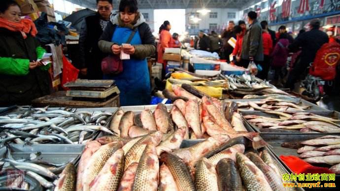 2019���ں�ˮ��Ʒ�г������뽵