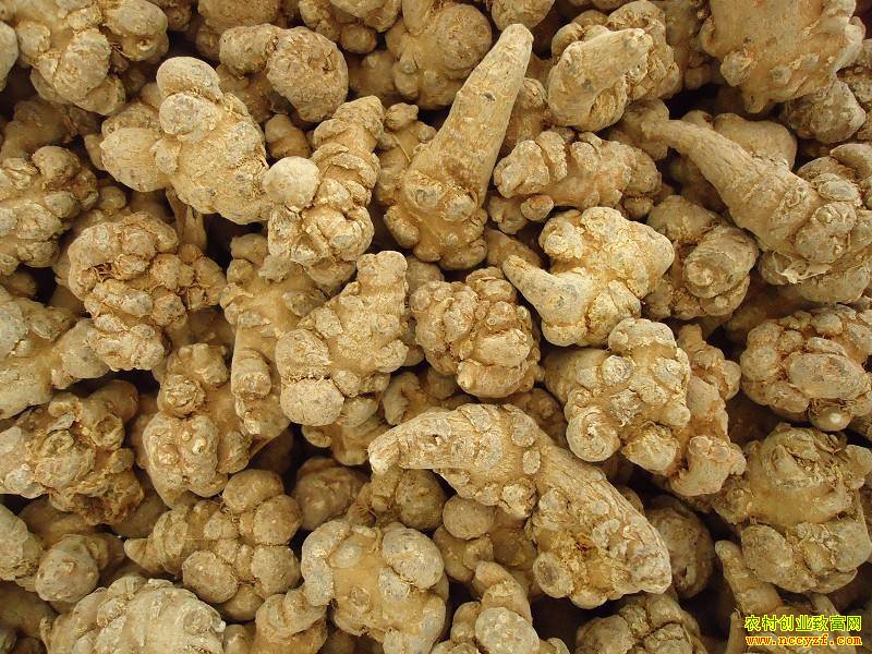 2022���������߼۸�����