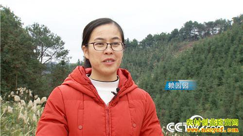 [�¸���]��������ɽ���Ͻ𵰵� 5���ֻ���2500�� 20190225 