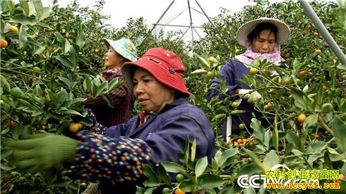 [�¸���]��������ɽ���Ͻ𵰵� 5���ֻ���2500�� 20190225 