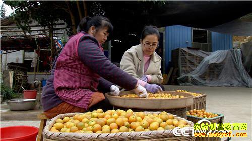 [�¸���]��������ɽ���Ͻ𵰵� 5���ֻ���2500�� 20190225 