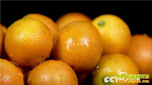 [�¸���]��������ɽ���Ͻ𵰵� 5���ֻ���2500�� 20190225 