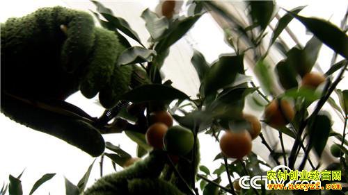 [�¸���]��������ɽ���Ͻ𵰵� 5���ֻ���2500�� 20190225 