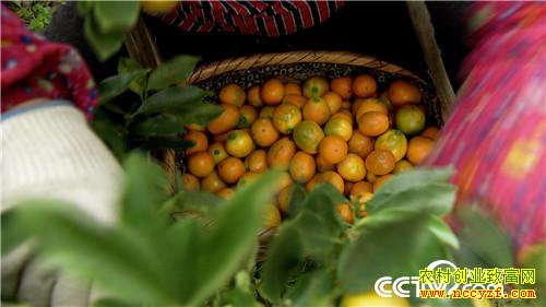 [�¸���]��������ɽ���Ͻ𵰵� 5���ֻ���2500�� 20190225 