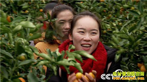 [�¸���]��������ɽ���Ͻ𵰵� 5���ֻ���2500�� 20190225 