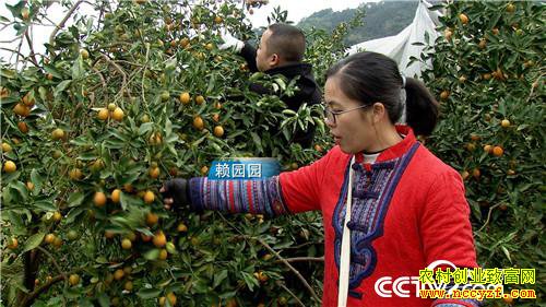 [�¸���]��������ɽ���Ͻ𵰵� 5���ֻ���2500�� 20190225 