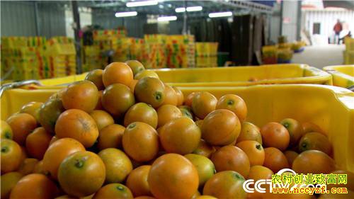 [�¸���]��������ɽ���Ͻ𵰵� 5���ֻ���2500�� 20190225 