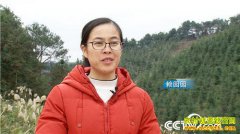 [�¸���]�����ڰ���԰԰��ֲС��� 5���ֻ���2500��