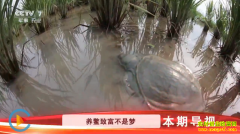 [�Ƽ�Է]�㽭������������������ֳ�ںڼ���