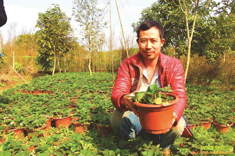 �Ĵ�����Ī�������Բ�ݮ�����Ķ׬3��Ԫ