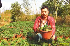 �Ĵ�����Ī�������Բ�ݮ�����Ķ׬3��Ԫ