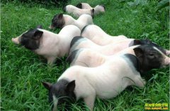 ������������������������ֳ�¸���