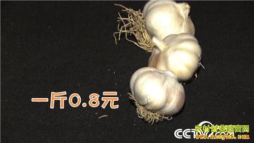 [�¸���]��ô��Ǯ׬�� ��������һ���� 20190226 