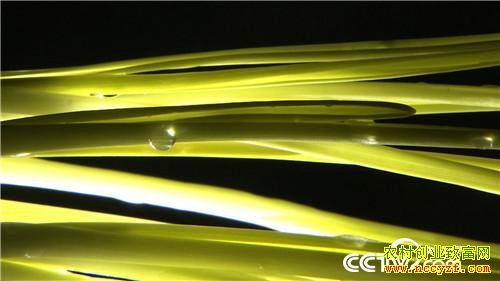 [�¸���]�ӱ�������ʤ���������ô��Ǯ׬����������һ����