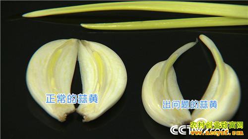 [�¸���]��ô��Ǯ׬�� ��������һ���� 20190226 