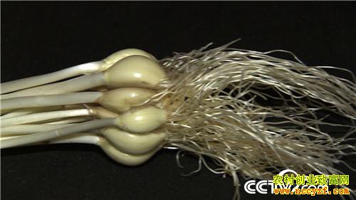 [�¸���]��ô��Ǯ׬�� ��������һ���� 20190226 