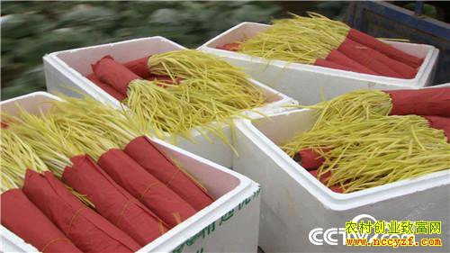 [�¸���]��ô��Ǯ׬�� ��������һ���� 20190226 