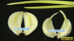 [�¸���]�ӱ�������ʤ���������ô��Ǯ׬����������һ����