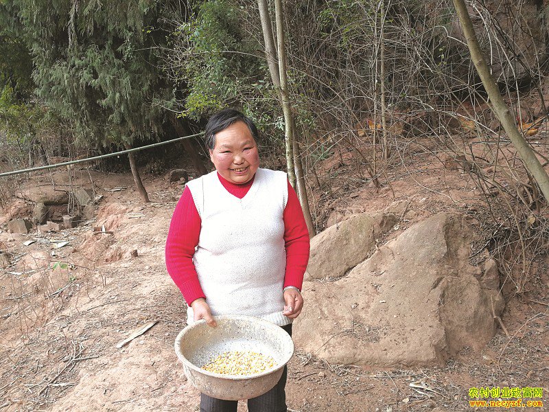 �Ĵ�������¡֥��ֳ�̿Ǽ��� �����������족��