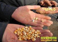 ũ������ӻ������� ũ��������۾����ϵ�