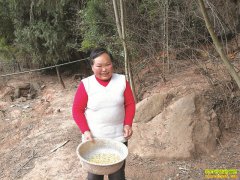 �Ĵ�������¡֥��ֳ�̿Ǽ��� �����������족��