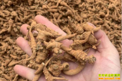 2019��3��4��������ɽ���߼۸�����