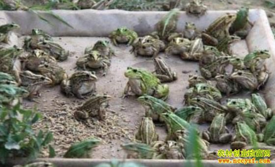 �Ĵ��ڽ����а�������紴ҵ�������˳�����¸�·