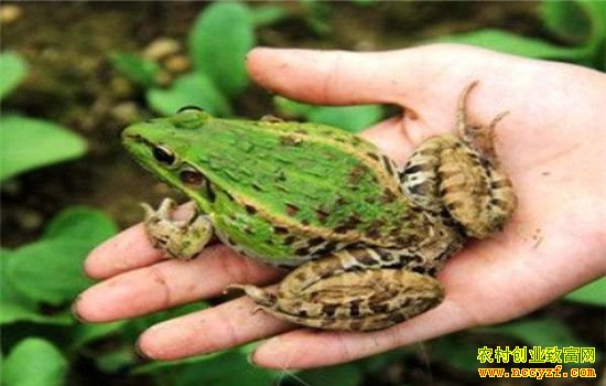 �Ĵ��ڽ����а�������紴ҵ�������˳�����¸�·