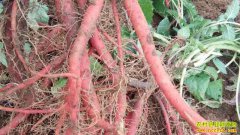 2019��3��29�����µ��μ۸�����