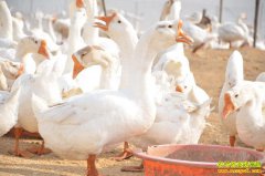 ����׬Ǯ�𣿰��շ����ش������·��紴ҵ���촳�������