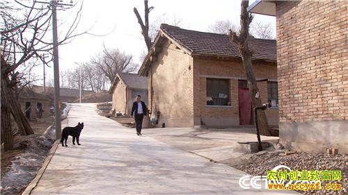 [�¸���]�㾡�Ҳ� ��ɽ�ڶ� ������ħ������ǧ��Ԫ 20190304 