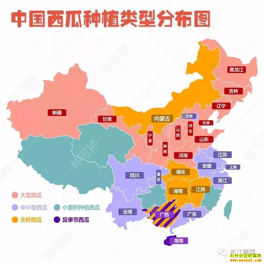 2019�������ϻ���׬Ǯ�����ȫ�����ϲ�ҵ�������������𰸣�