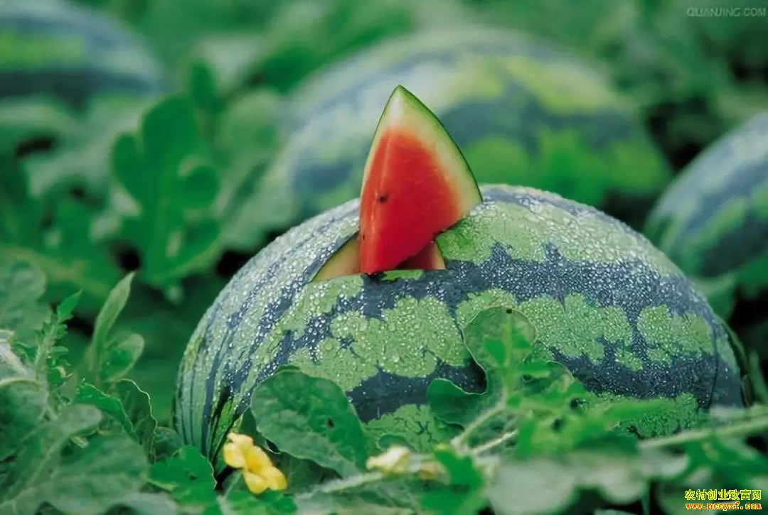 2019�������ϻ���׬Ǯ�����ȫ�����ϲ�ҵ�������������𰸣�