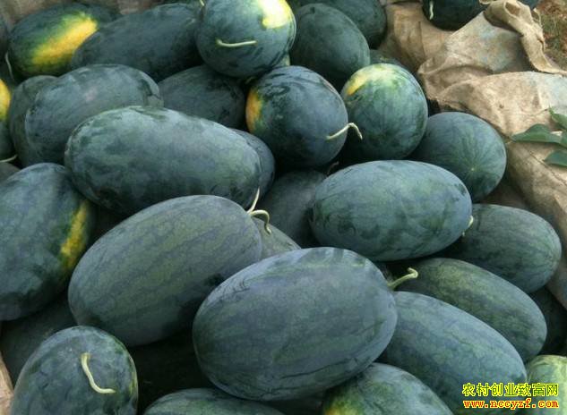 2019�������ϻ���׬Ǯ�����ȫ�����ϲ�ҵ�������������𰸣�