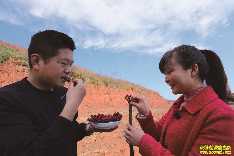 �������㴻׬Ǯ���Ĵ�üɽ��ΰ��ֲ�㴻Ķ��������ΰ�v��w�빤���ڲ�ժ�㴻ѿ