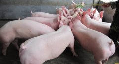 �������� �μ������ ������������Ǯ