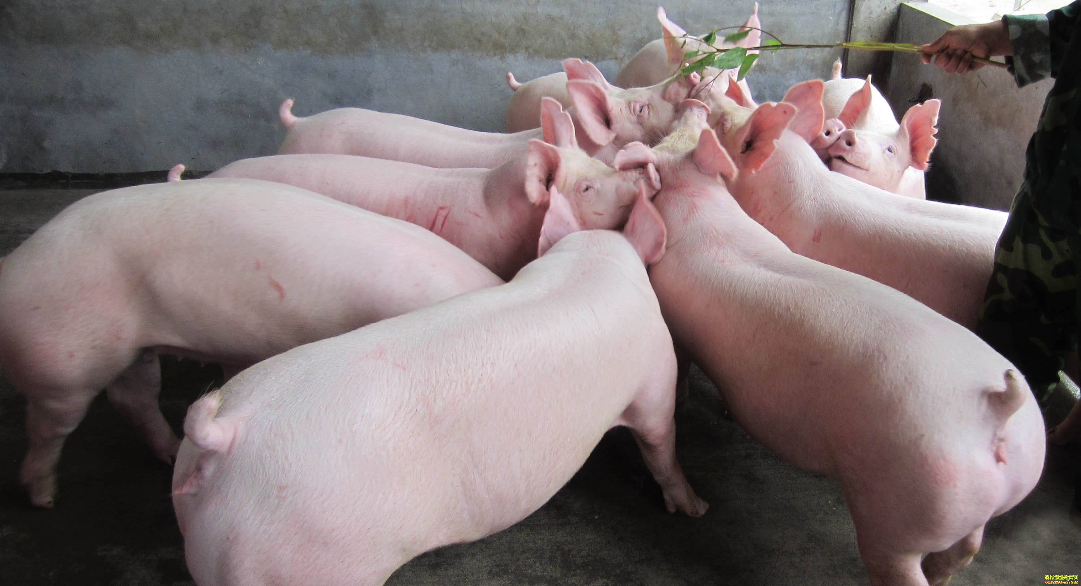 �������� �μ������ ������������Ǯ