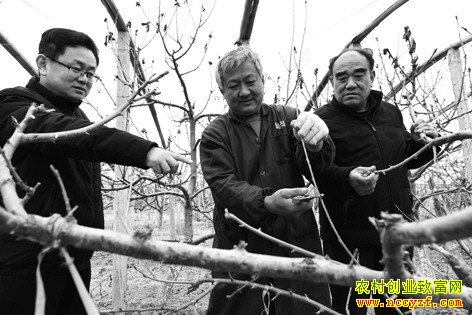 ɽ�������س�ʿ����ֲ8Ķӣ����������80��