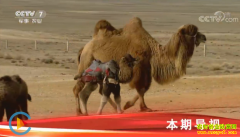 [�Ƽ�Է]���������������