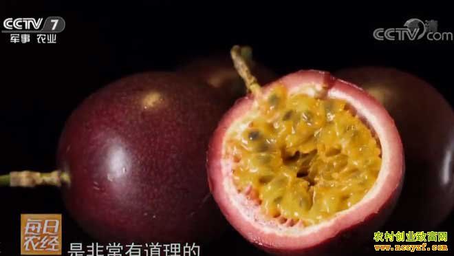 [ÿ��ũ��]���˻����ٳԵ�ˮ�� �������ֲЧ���