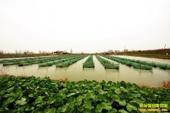 ����������׬Ǯ���������ˮ����ֳģʽ ���ʺ��ĸ���