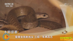 [�¸���]�Ĵ���������Ů���ܺ�÷��������һ��������