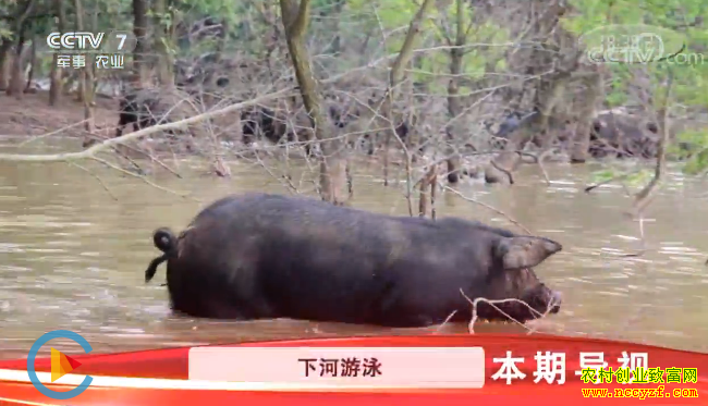 [�Ƽ�Է]�����Ϻ������ ���������� 20181126