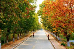 ũ���¸�·ǧ���� ��ѡ���־�Ӫ��ʽ��