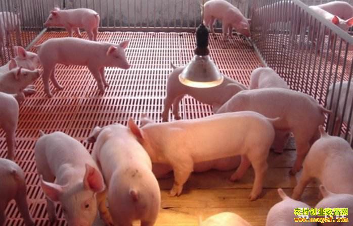 ��������׬Ǯ������ǧ���ش޺췢�����߳��¸�·